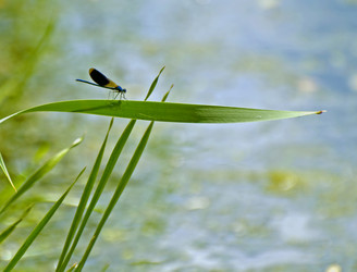 Similar image 1771779