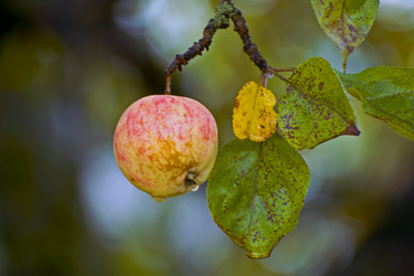 Similar image 1771781