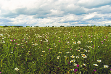 Similar image 1771782