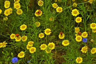 Similar image 1771792