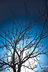 Similar image 1771803