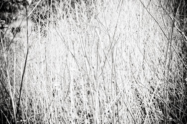 Similar image 1771804