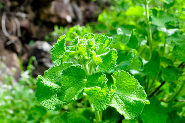 Similar image 1771806