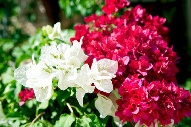 Similar image 1771812