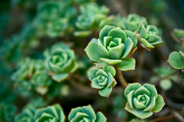 Similar image 1771813