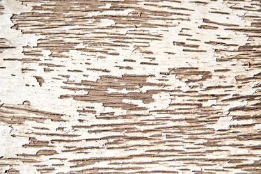 Similar image 1771818