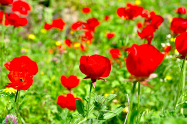 Similar image 1771819