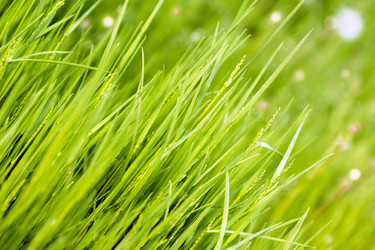 Similar image 1771820