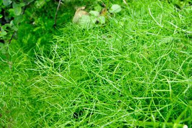 Similar image 1771831