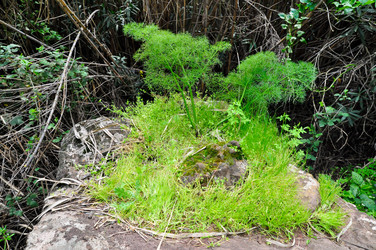 Similar image 1771832