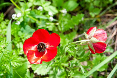 Similar image 1771835