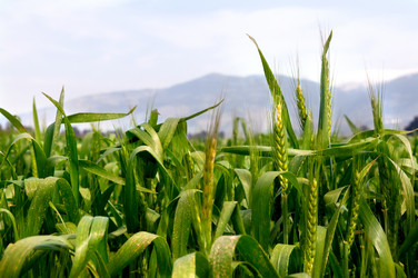 Similar image 1771839