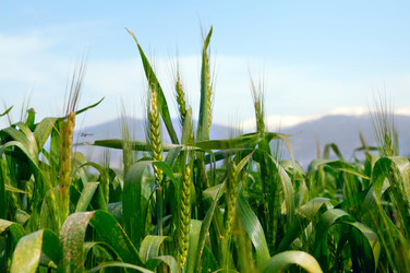 Similar image 1771841