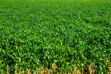 Similar image 1771844