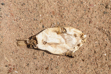 Similar image 1771870