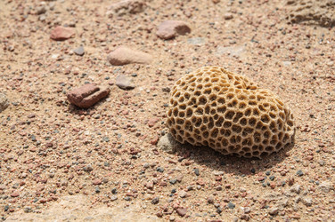 Similar image 1771876