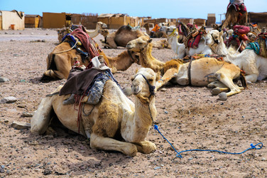 Similar image 1771899