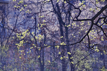 Similar image 1771940