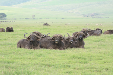 Similar image 1771961