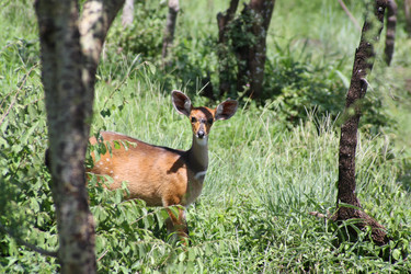 Similar image 1771962