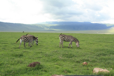 Similar image 1771963