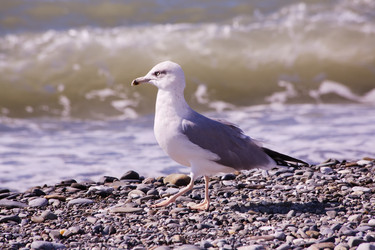 Similar image 1771983