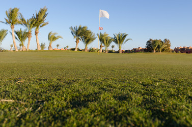 Similar image 1772002