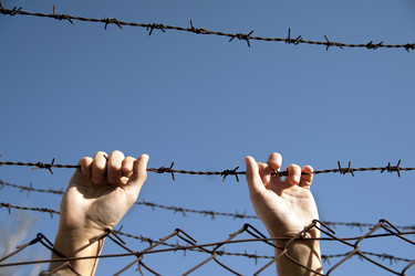 Similar image 1772091