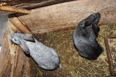 Similar image 1772197