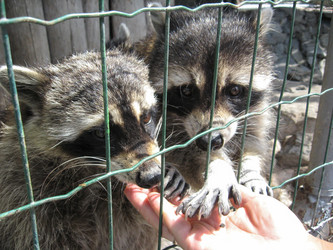 Similar image 1772198