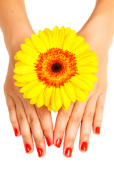 Similar image 1772306