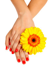 Similar image 1772307