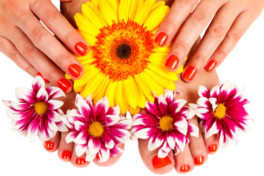 Similar image 1772309