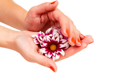 Similar image 1772310