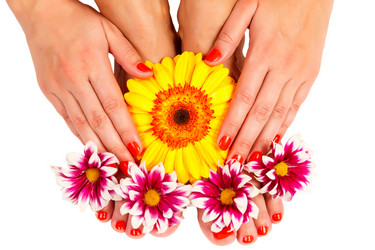 Similar image 1772311