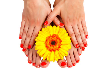 Similar image 1772314