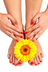 Similar image 1772322