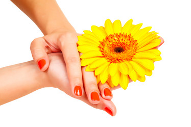 Similar image 1772323