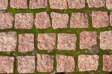 Similar image 1772328