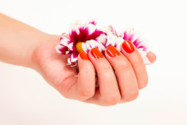 Similar image 1772342