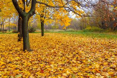 Similar image 1772344