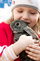 Similar image 1772415