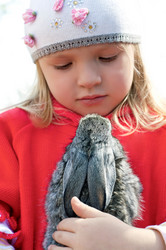 Similar image 1772418