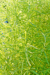 Similar image 1772484