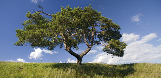 Similar image 1772744