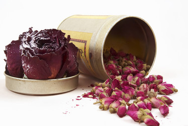 Similar image 1772832