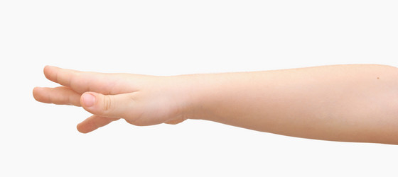 Similar image 1772863