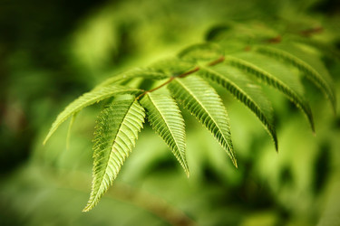 Similar image 1772874