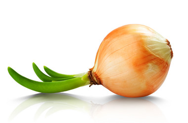 Similar image 1772888