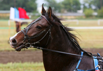 Similar image 1772911